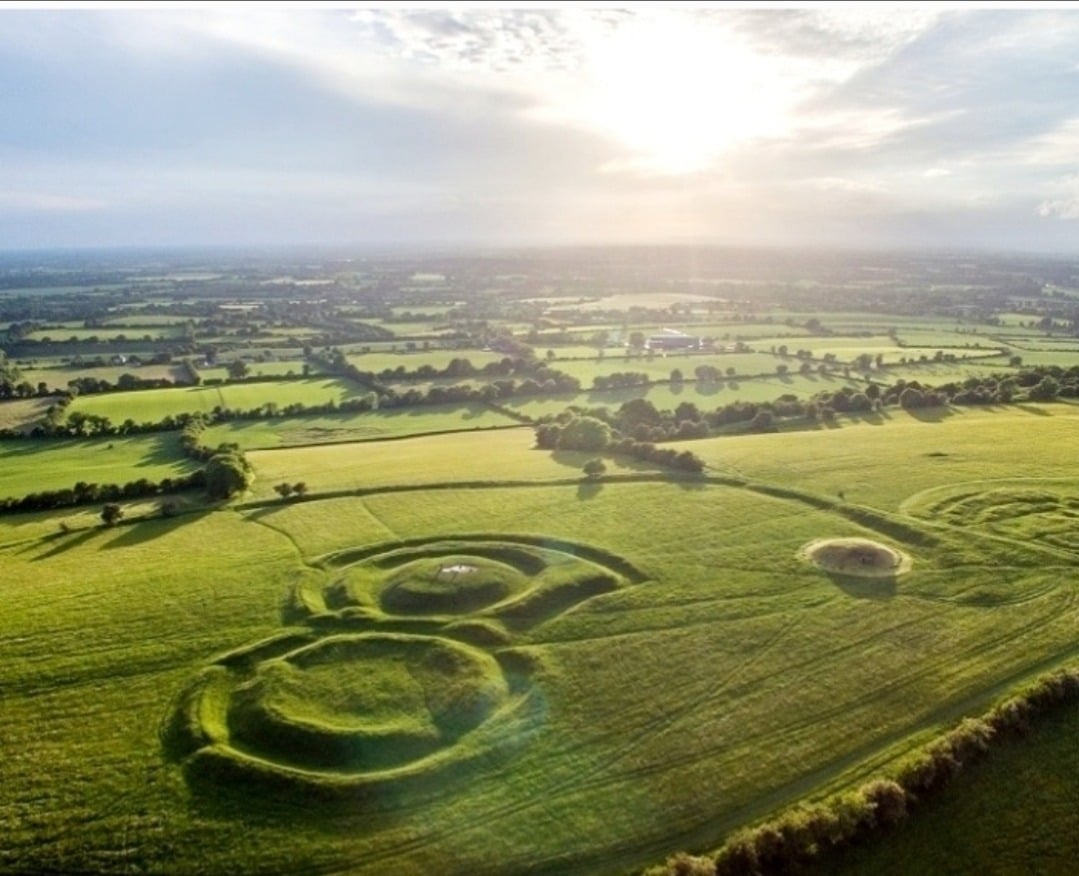 Gallery | The Harp Silenced — Giorria, image size:1079x876
